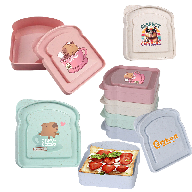 Food Storage Boxes With Lids - กล่องเก็บอาหารลายคาปิบารา สำหรับใส่แซนวิช สลัด ผลไม้ ขนม กล่องอาหารกลางวันแบบมีฝาปิด