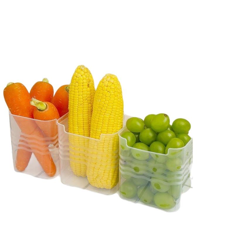 # กล่องจัดระเบียบอาหารในตู้เย็ - Food Storage Plastic Container บทวิจารณ์และราคา