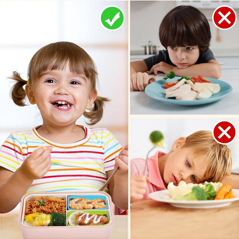 แผ่นกั้นกล่องอาหารกลางวันซิลิโ - Food Storage Unit บทวิจารณ์และราคา